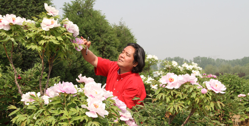 ��ɫ�����й���  ��ī����ĵ����