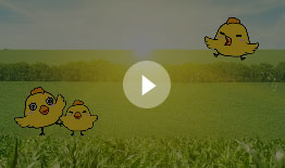 �����ǵ㣨�ˣ���СQ�������ᡱ֮�������