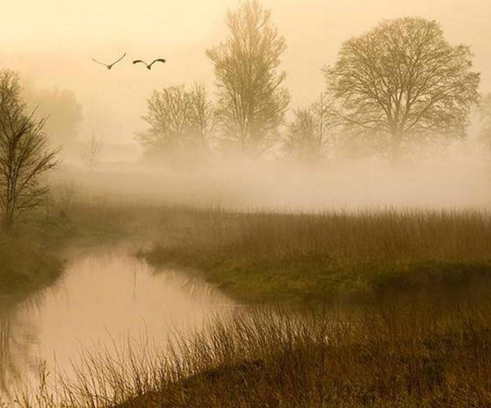 ʱ��������������